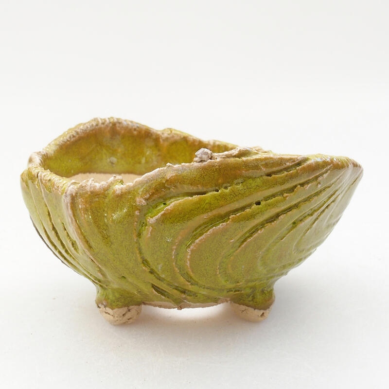 Ceramic Shell 9 x 8 x 5 cm, color green