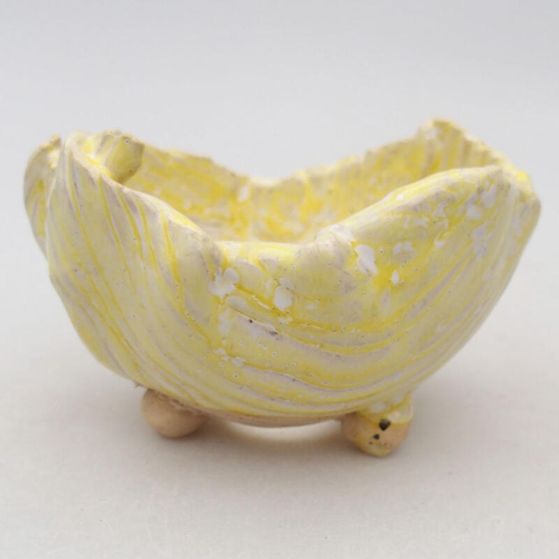 Ceramic Shell 9 x 8 x 6 cm, white-yellow color