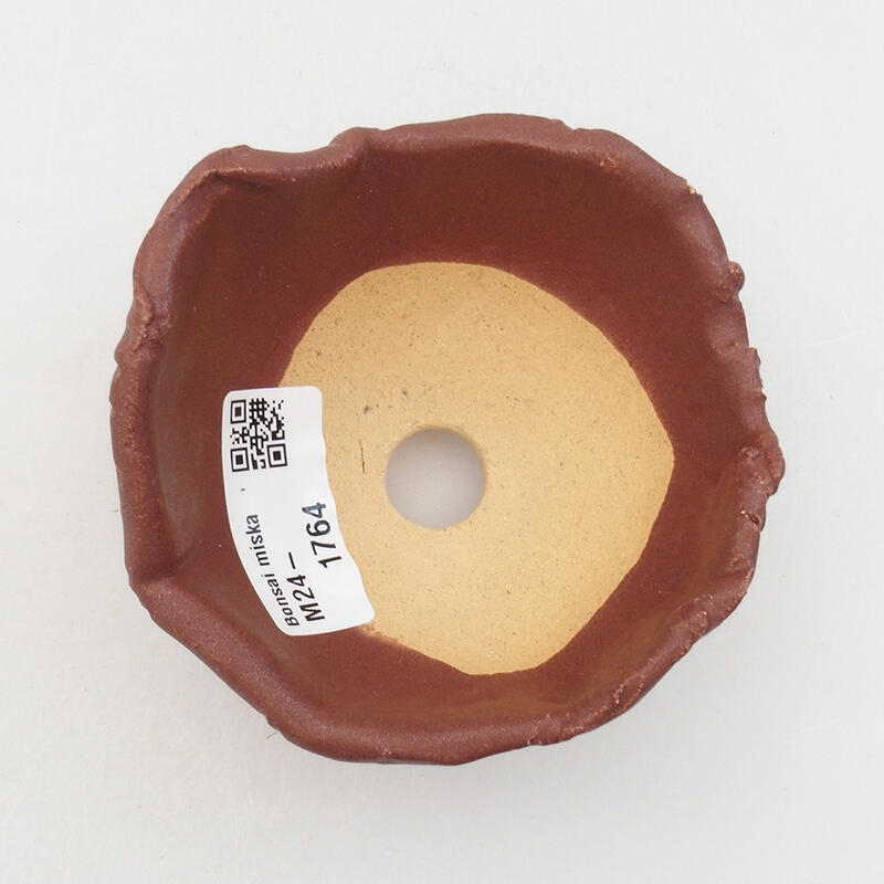 Ceramic shell 9 x 9 x 5.5 cm, color brown