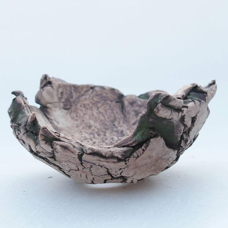 Ceramic Shell 9 x 9 x 5 cm , green color