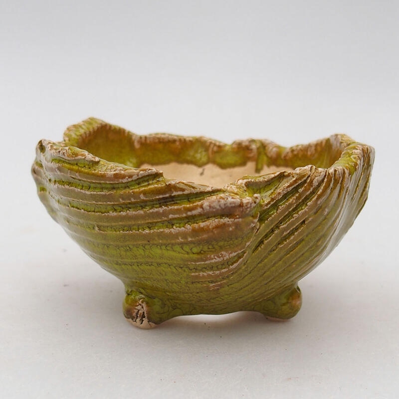 Ceramic Shell 9 x 9 x 5 cm, color green