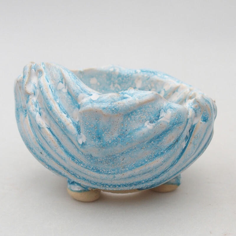 Ceramic Shell 9 x 9 x 6.5 cm, color blue-white