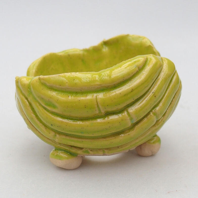 Ceramic shell 9 x 9 x 6 cm, color yellow-green