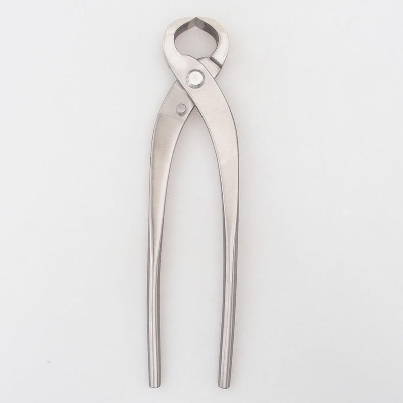 Pliers for roots 20 cm - stainless steel