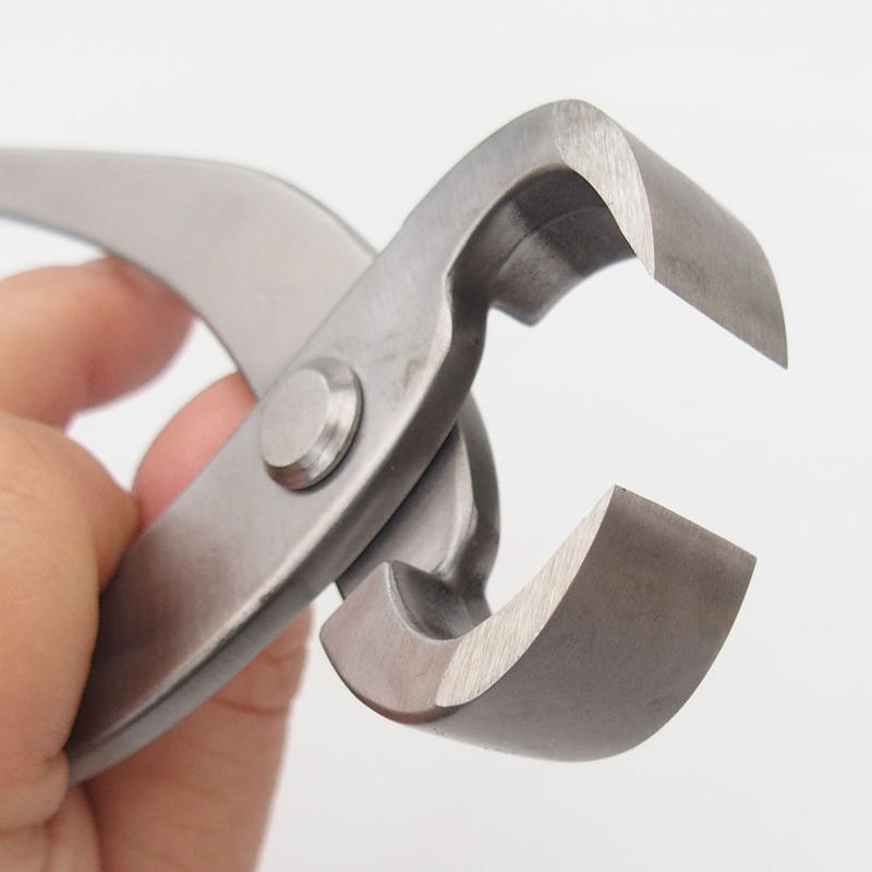 Pliers for roots 22 cm - stainless steel