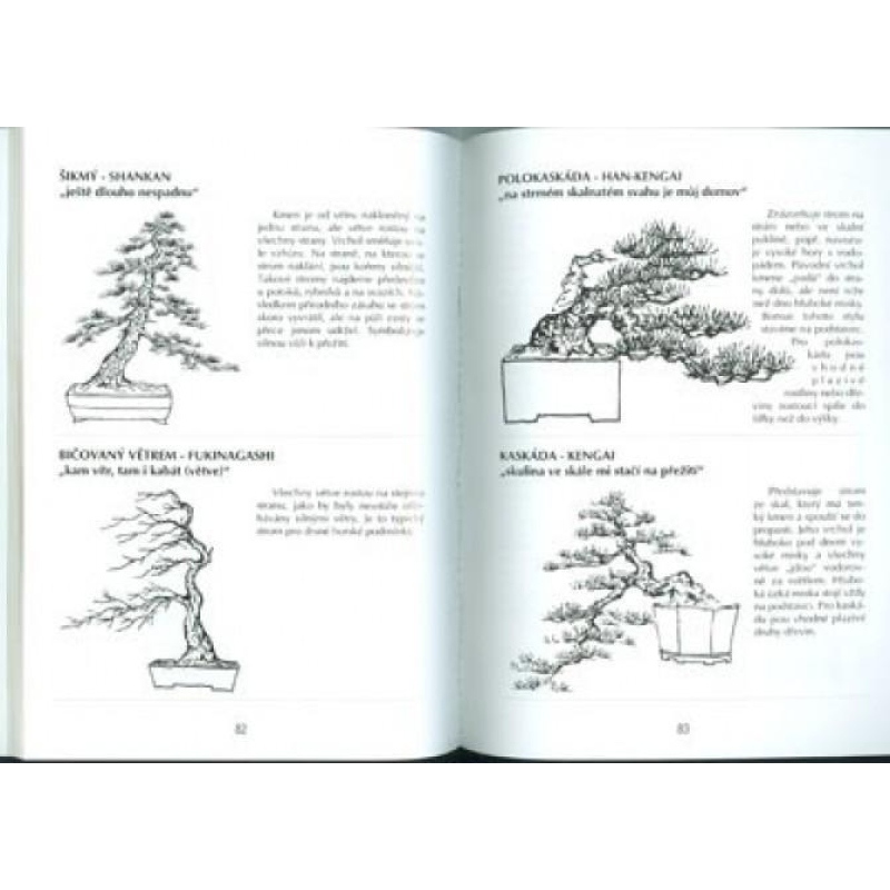 The book not only bonsai in a block of flats