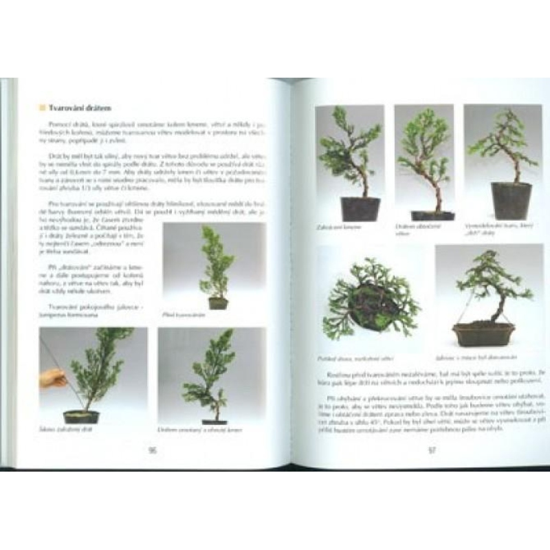 The book not only bonsai in a block of flats