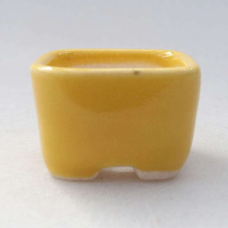 Mini bonsai bowl 2.5 x 2.5 x 1.5 cm, color yellow