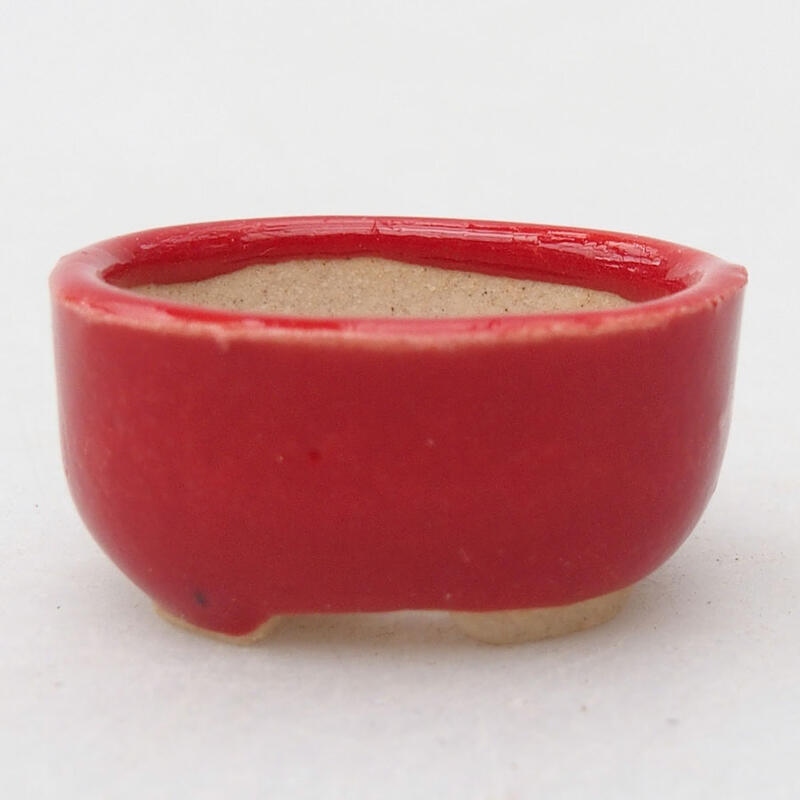 Mini bonsai bowl 2.5 x 2 x 1 cm, color red