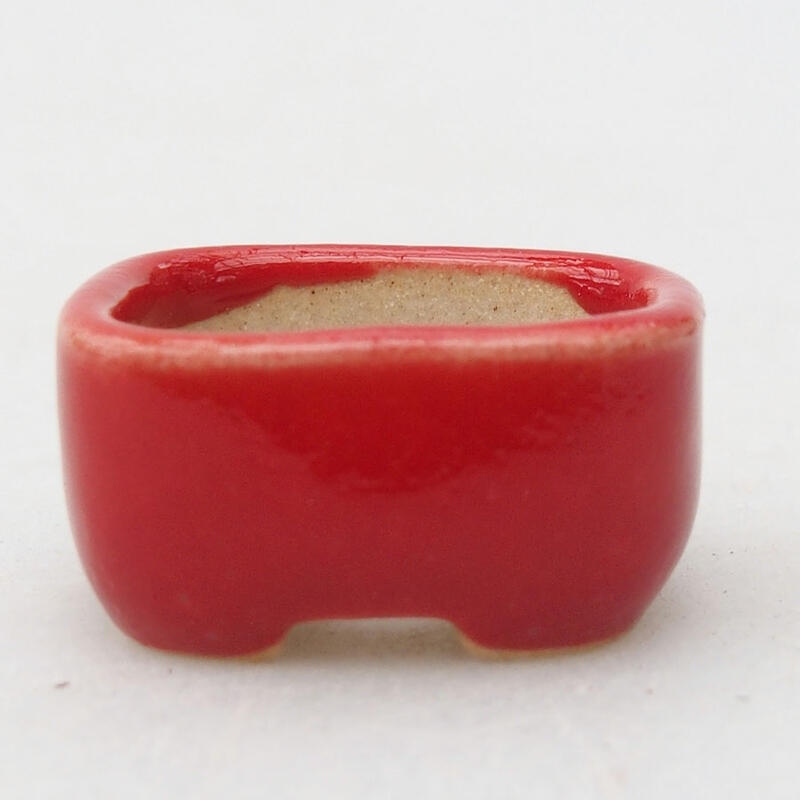 Mini bonsai bowl 2 x 1.5 x 1 cm, color red