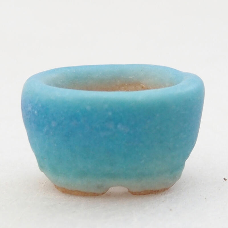 Mini bonsai bowl 2 x 1.5 x 1 cm, color blue