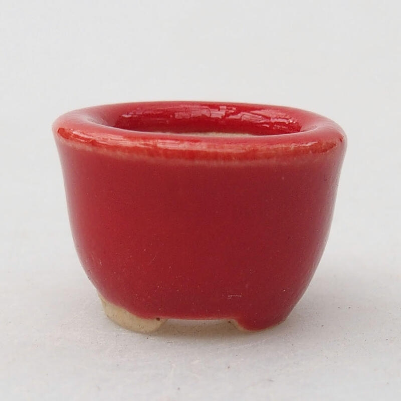 Mini bonsai bowl 2 x 2 x 1.5 cm, color red