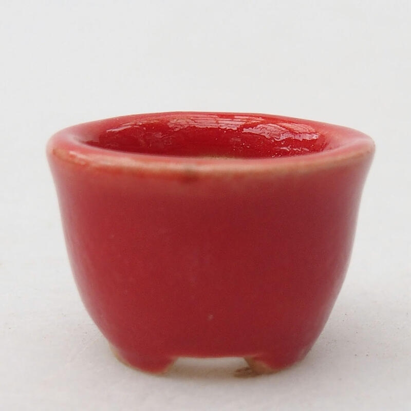 Mini bonsai bowl 2 x 2 x 1.5 cm, color red