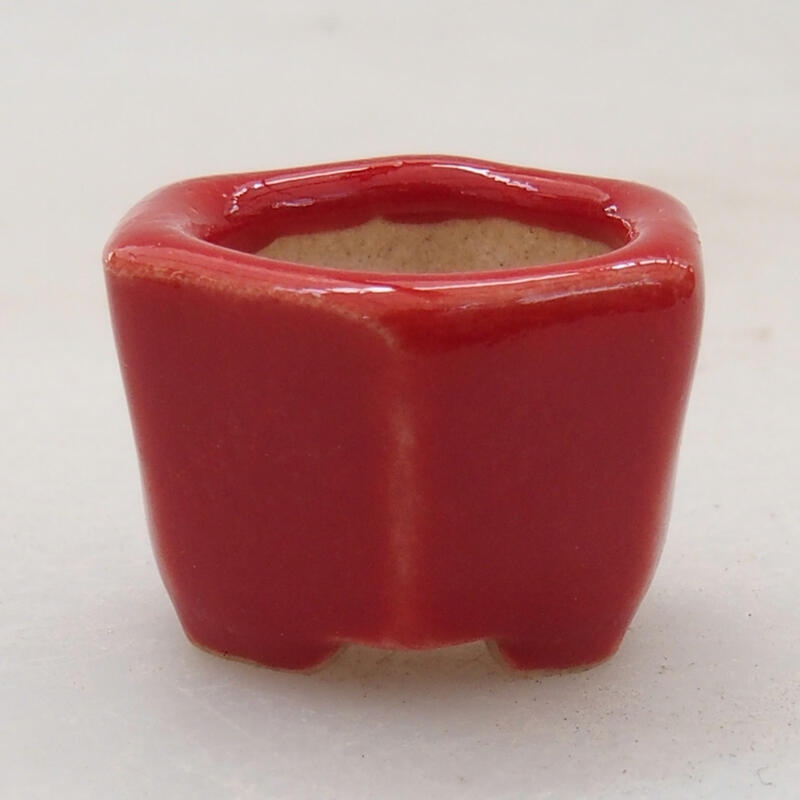 Mini bonsai bowl 2 x 2 x 1.5 cm, color red