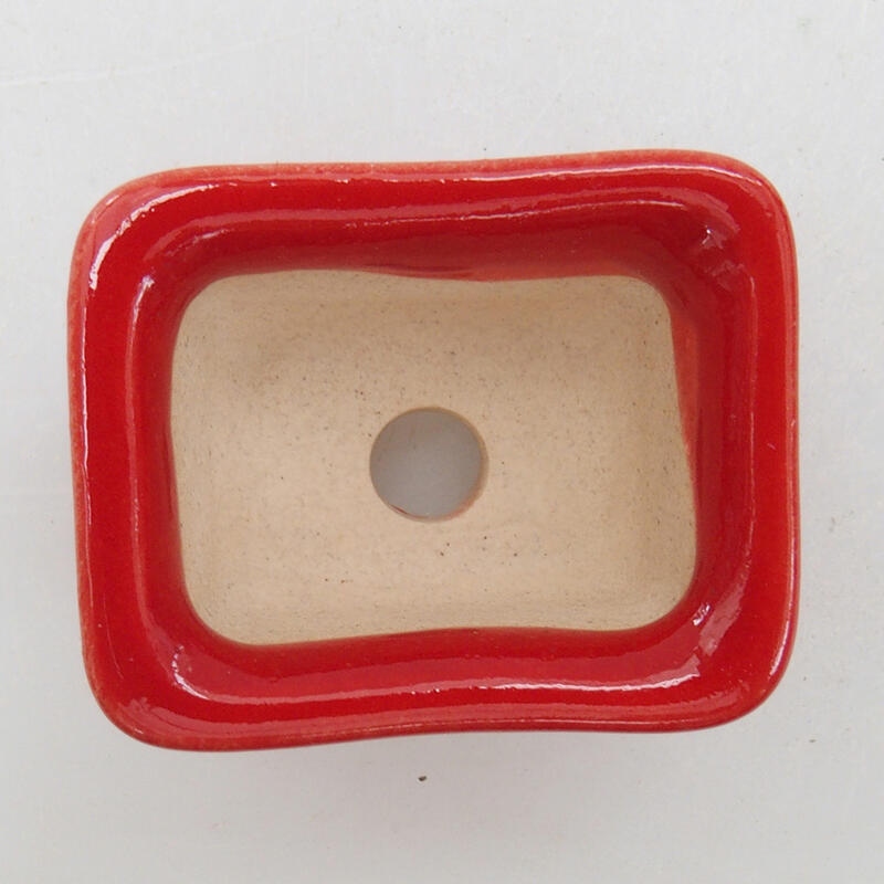 Mini bonsai bowl 3.5 x 2.5 x 2 cm, color red