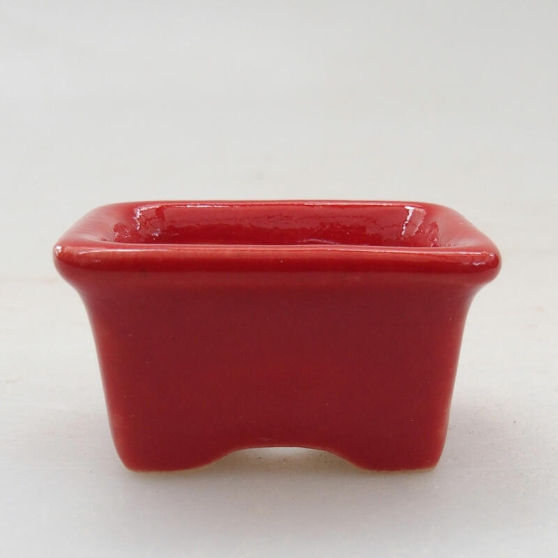 Mini bonsai bowl 3.5 x 2.5 x 2 cm, color red