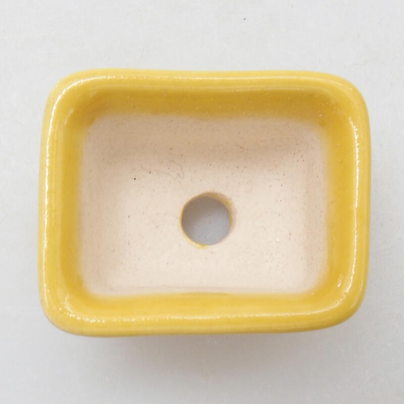 Mini bonsai bowl 3.5 x 2.5 x 2 cm, color yellow