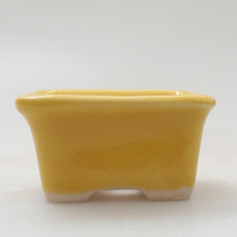 Mini bonsai bowl 3.5 x 2.5 x 2 cm, color yellow