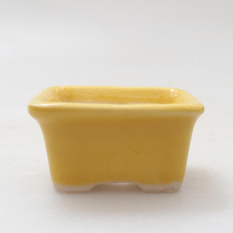 Mini bonsai bowl 3.5 x 2.5 x 2 cm, color yellow