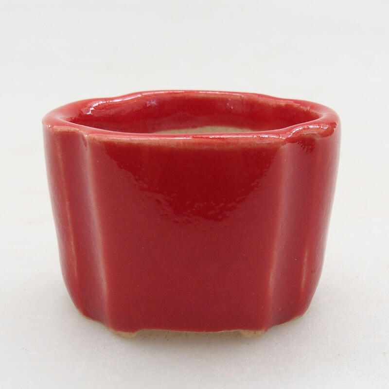 Mini bonsai bowl 3.5 x 3.5 x 2.5 cm, color red