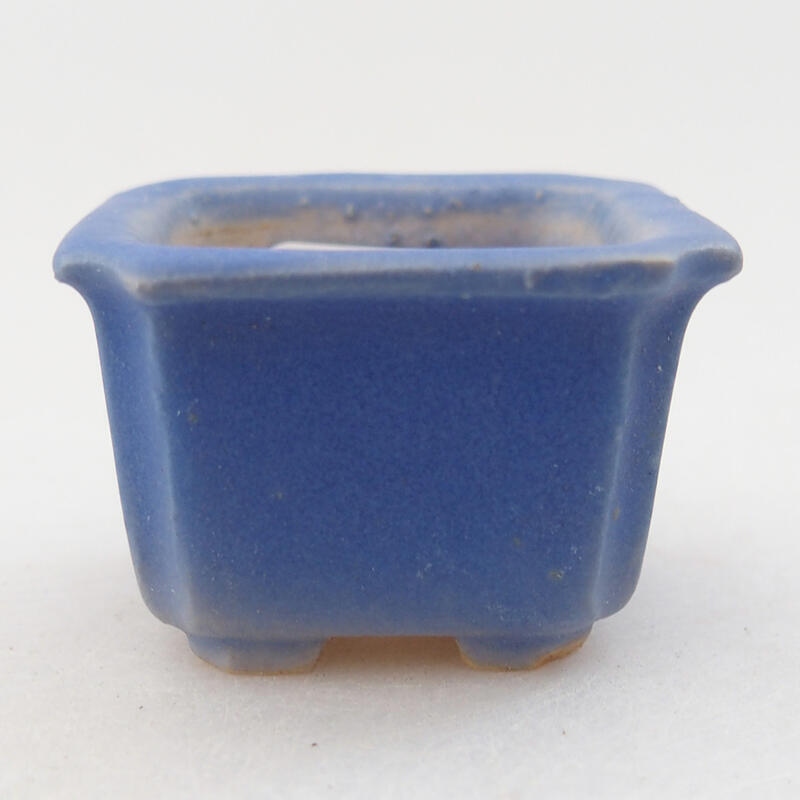 Mini bonsai bowl 3.5 x 3.5 x 2.5 cm, color blue