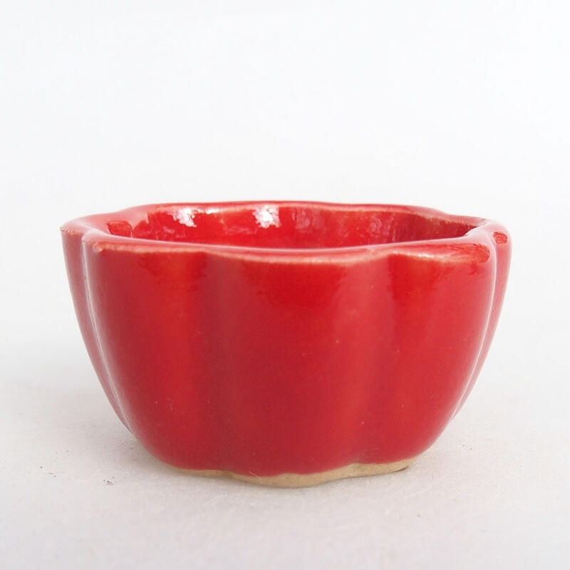 Mini bonsai bowl 3.5 x 3.5 x 2 cm, color red