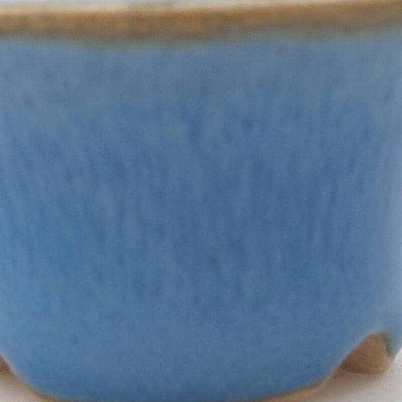 Mini bonsai bowl 3.5 x 3.5 x 2 cm, color blue