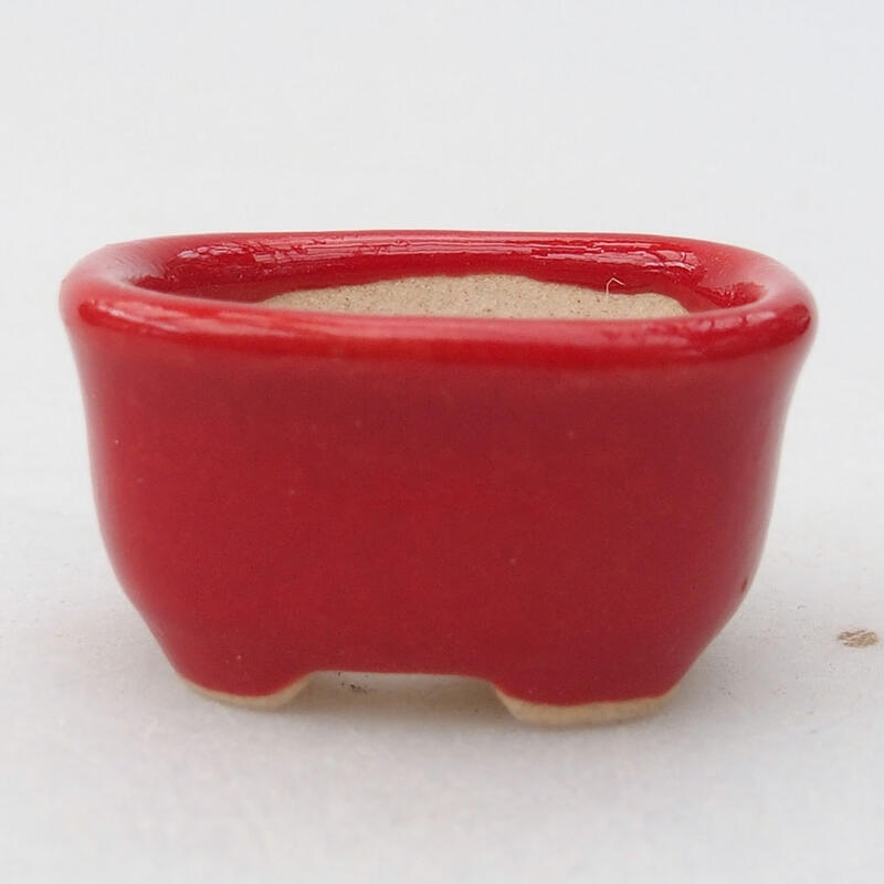 Mini bonsai bowl 3 x 2.5 x 1.5 cm, color red