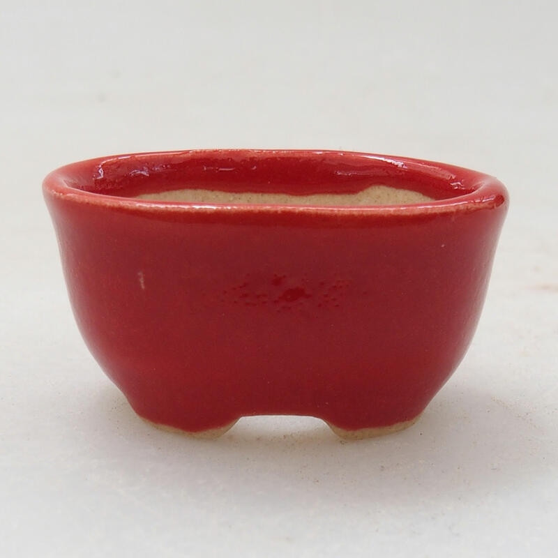 Mini bonsai bowl 3 x 2.5 x 1.5 cm, color red