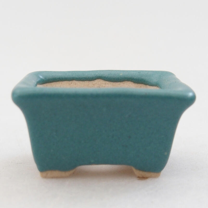 Mini bonsai bowl 3 x 2.5 x 1.5 cm, color blue