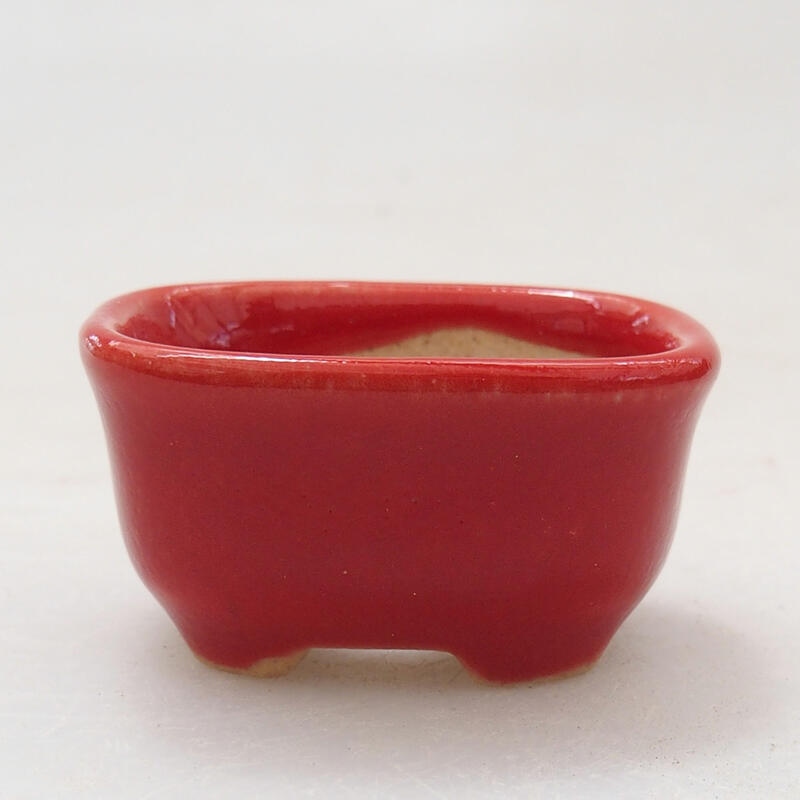 Mini bonsai bowl 3 x 2.5 x 2 cm, color red