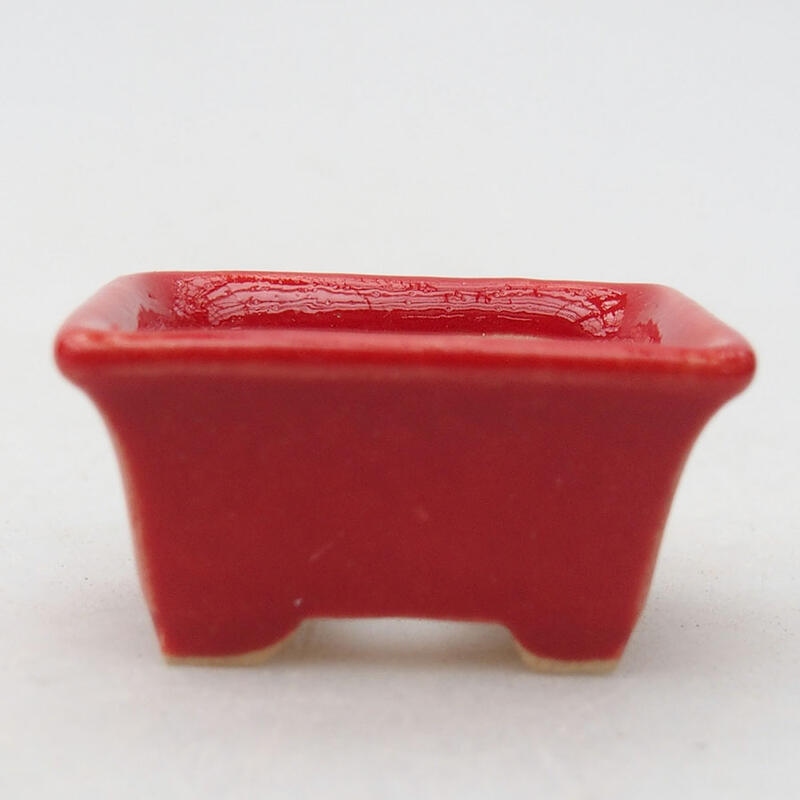 Mini bonsai bowl 3 x 2 x 1.5 cm, color red