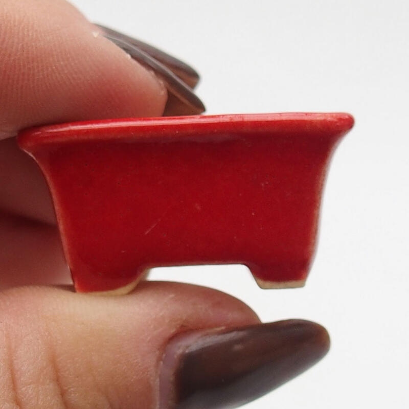 Mini bonsai bowl 3 x 2 x 1.5 cm, color red