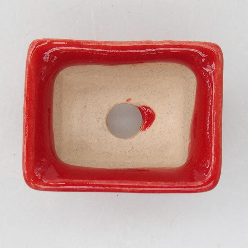 Mini bonsai bowl 3 x 2 x 1.5 cm, color red