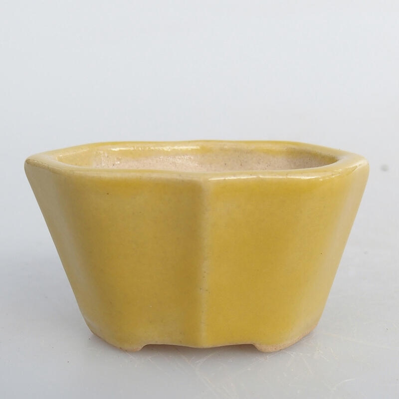 Mini bonsai bowl 4.5 x 3.5 x 2.5 cm, color yellow