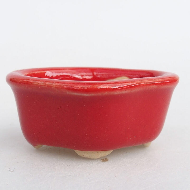 Mini bonsai bowl 4.5 x 3.5 x 2 cm, color red