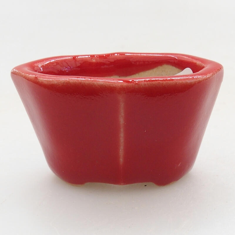 Mini bonsai bowl 4.5 x 3 x 2.5 cm, color red