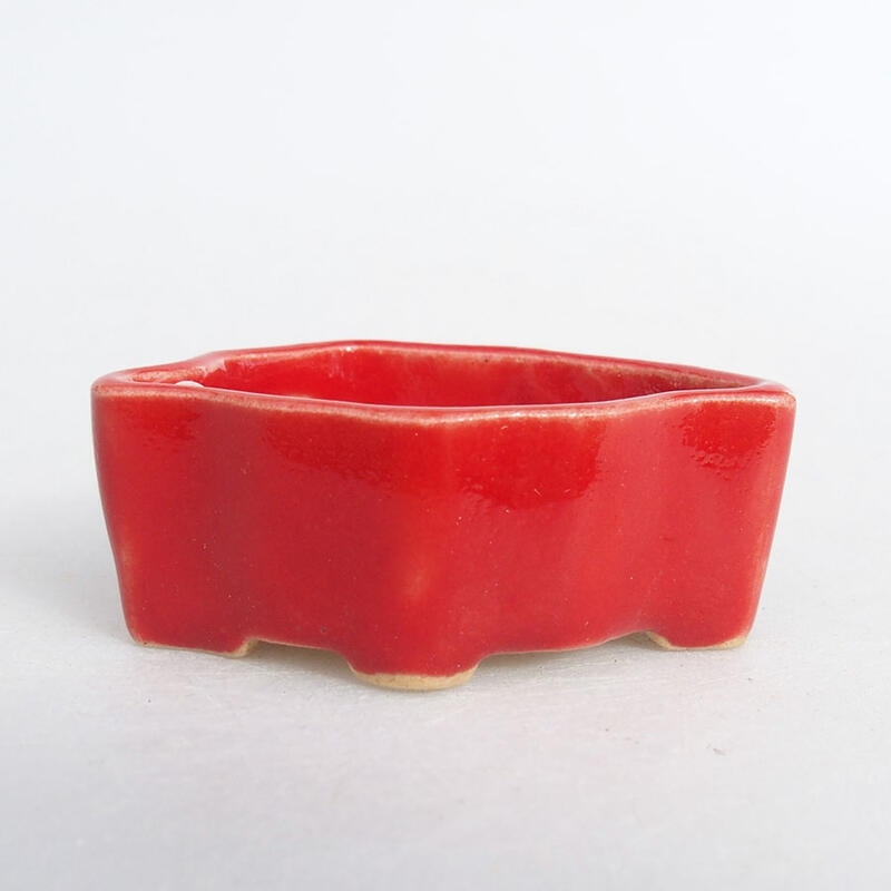 Mini bonsai bowl 4.5 x 3 x 2 cm, color red