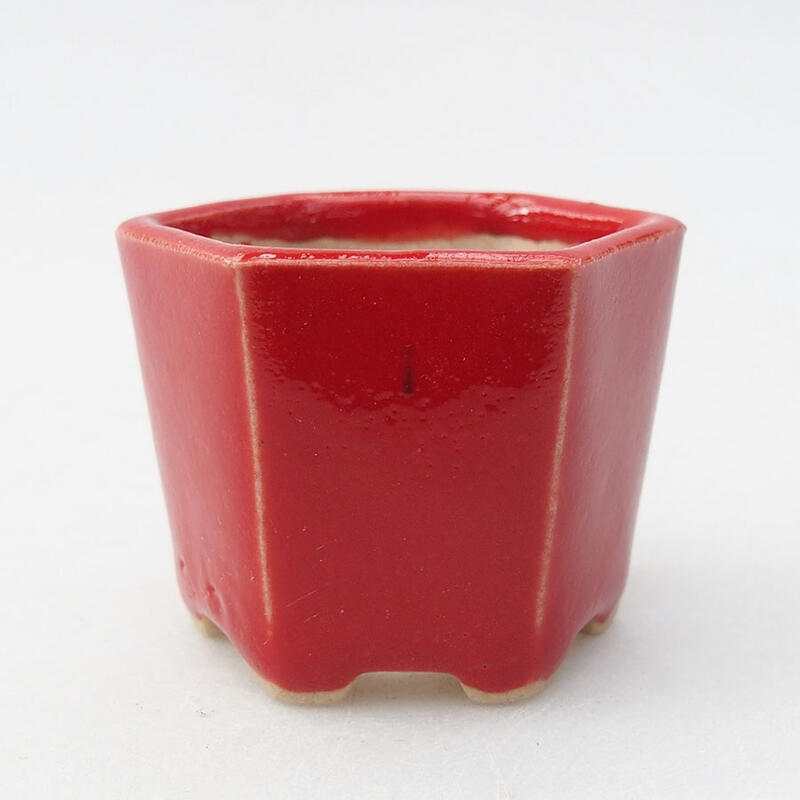 Mini bonsai bowl 4.5 x 4 x 3.5 cm, color red