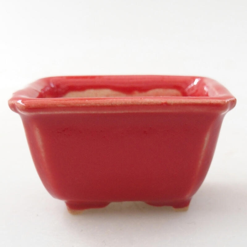 Mini bonsai bowl 4 x 3.5 x 2.5 cm, color red