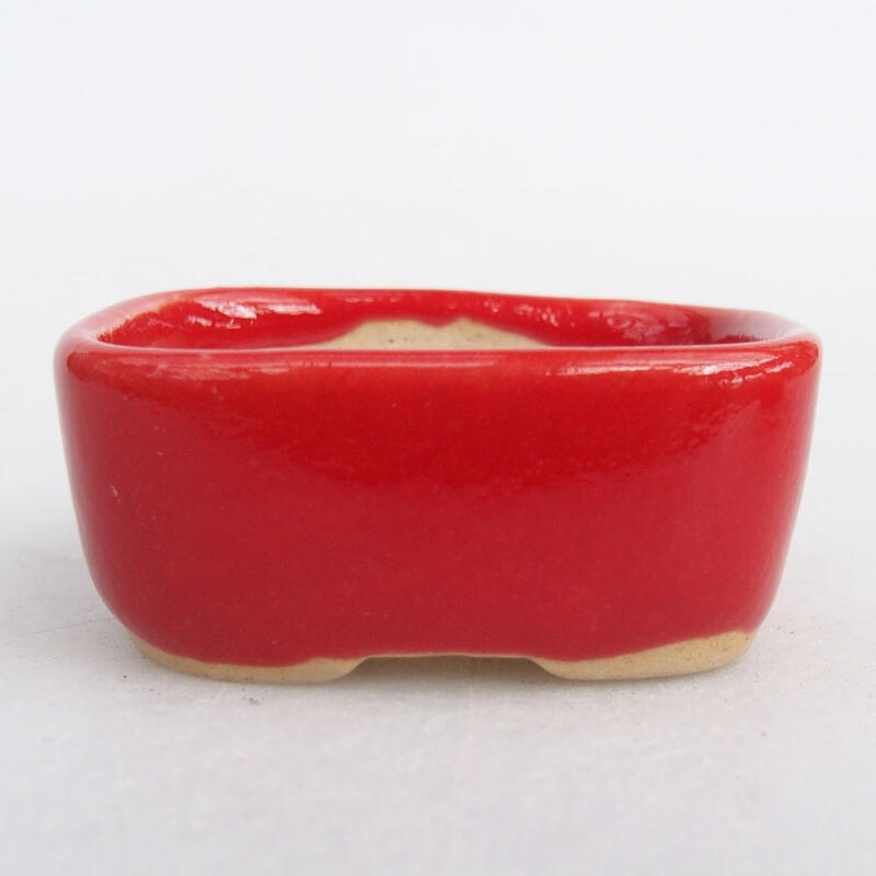 Mini bonsai bowl 4 x 3 x 1.5 cm, color red