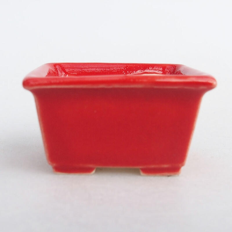 Mini bonsai bowl 4 x 3 x 2 cm, color red