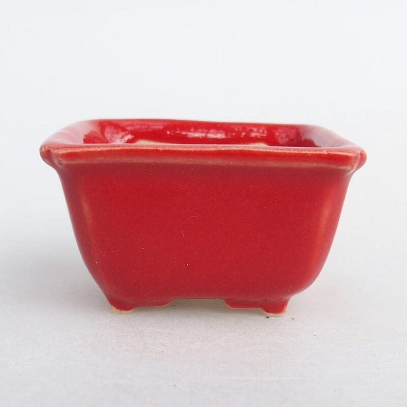 Mini bonsai bowl 4 x 3 x 2 cm, color red