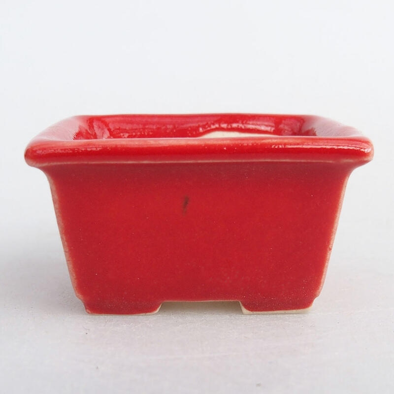 Mini bonsai bowl 4 x 3 x 2 cm, color red