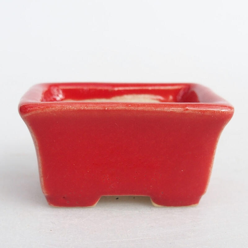 Mini bonsai bowl 4 x 3 x 2 cm, color red