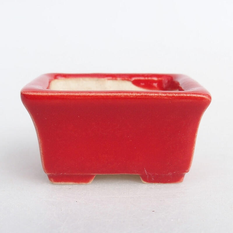 Mini bonsai bowl 4 x 3 x 2 cm, color red