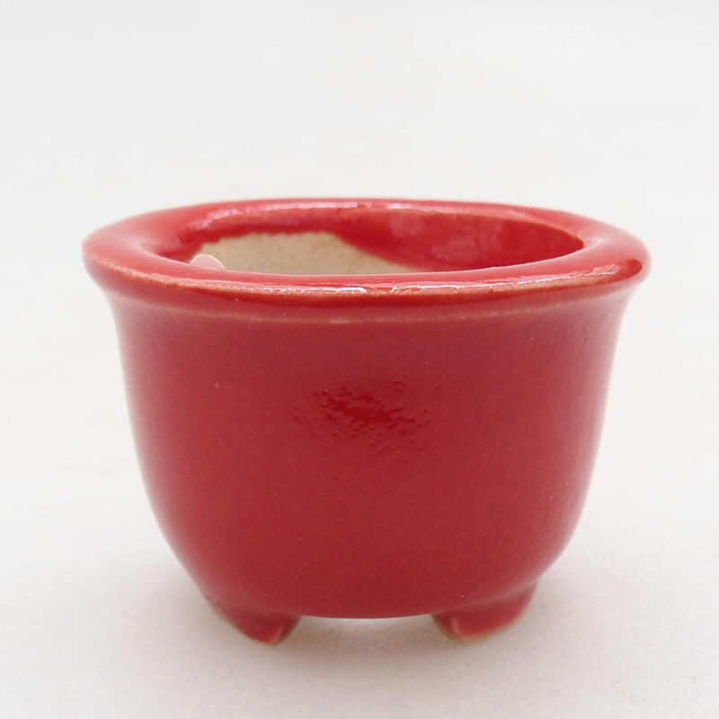 Mini bonsai bowl 4 x 4 x 2.5 cm, color red