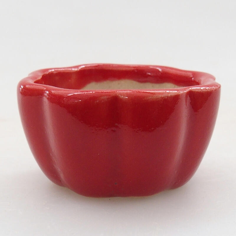 Mini bonsai bowl 4 x 4 x 2 cm, color red