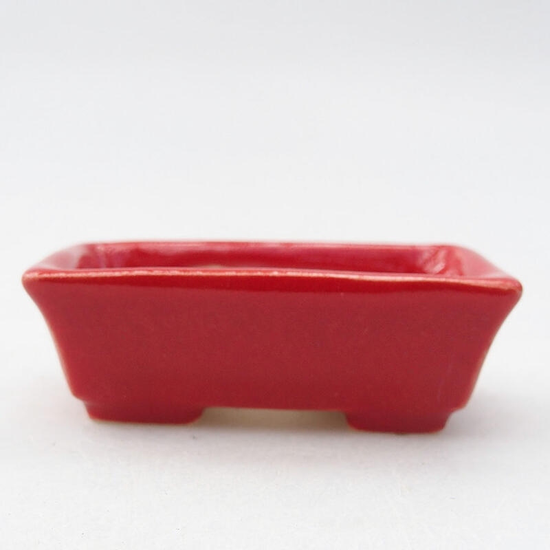 Mini bonsai bowl 5.5 x 3 x 1.5 cm, color red