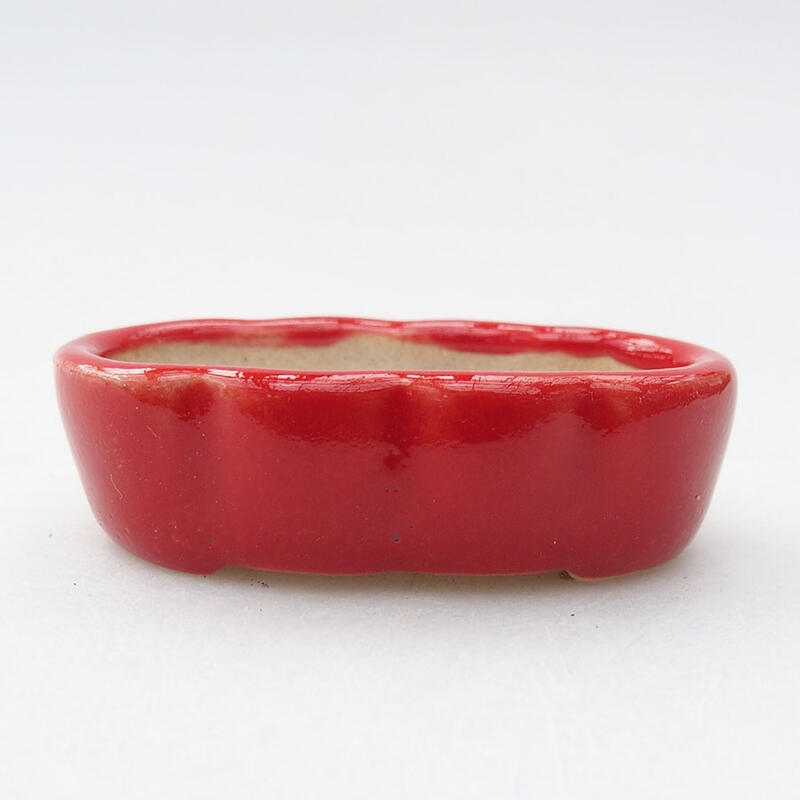 Mini bonsai bowl 5.5 x 3 x 2 cm, color red